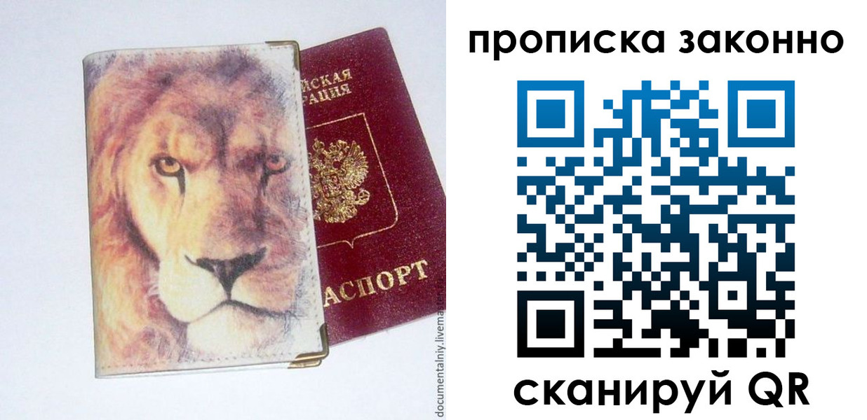 прописка 2025 в Елизово
